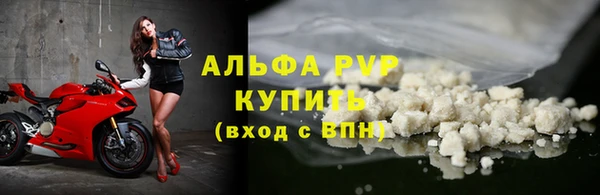 сатива Балахна